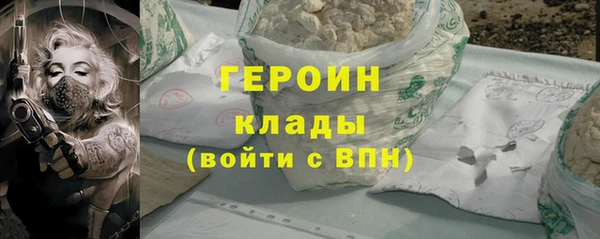 гидра Арсеньев