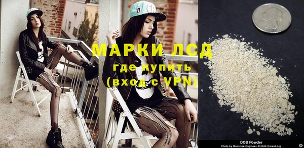гидра Арсеньев