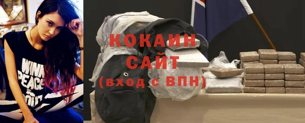 гидра Арсеньев