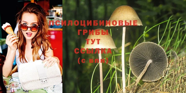 mix Аркадак