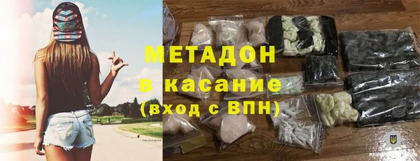 гидра Арсеньев