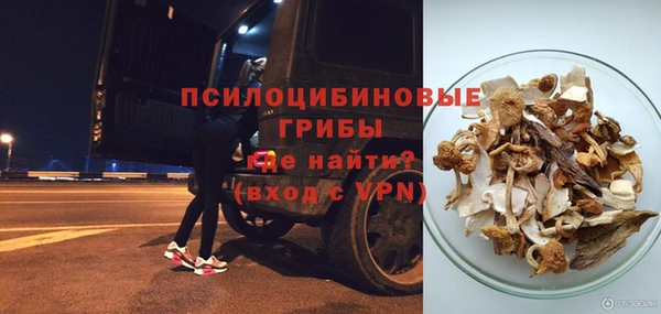 гидра Арсеньев