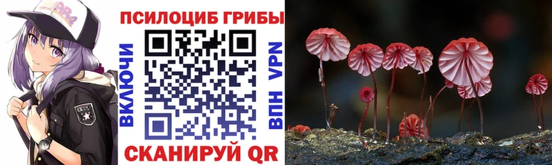 Псилоцибиновые грибы прущие грибы мега зеркало Аша где купить
